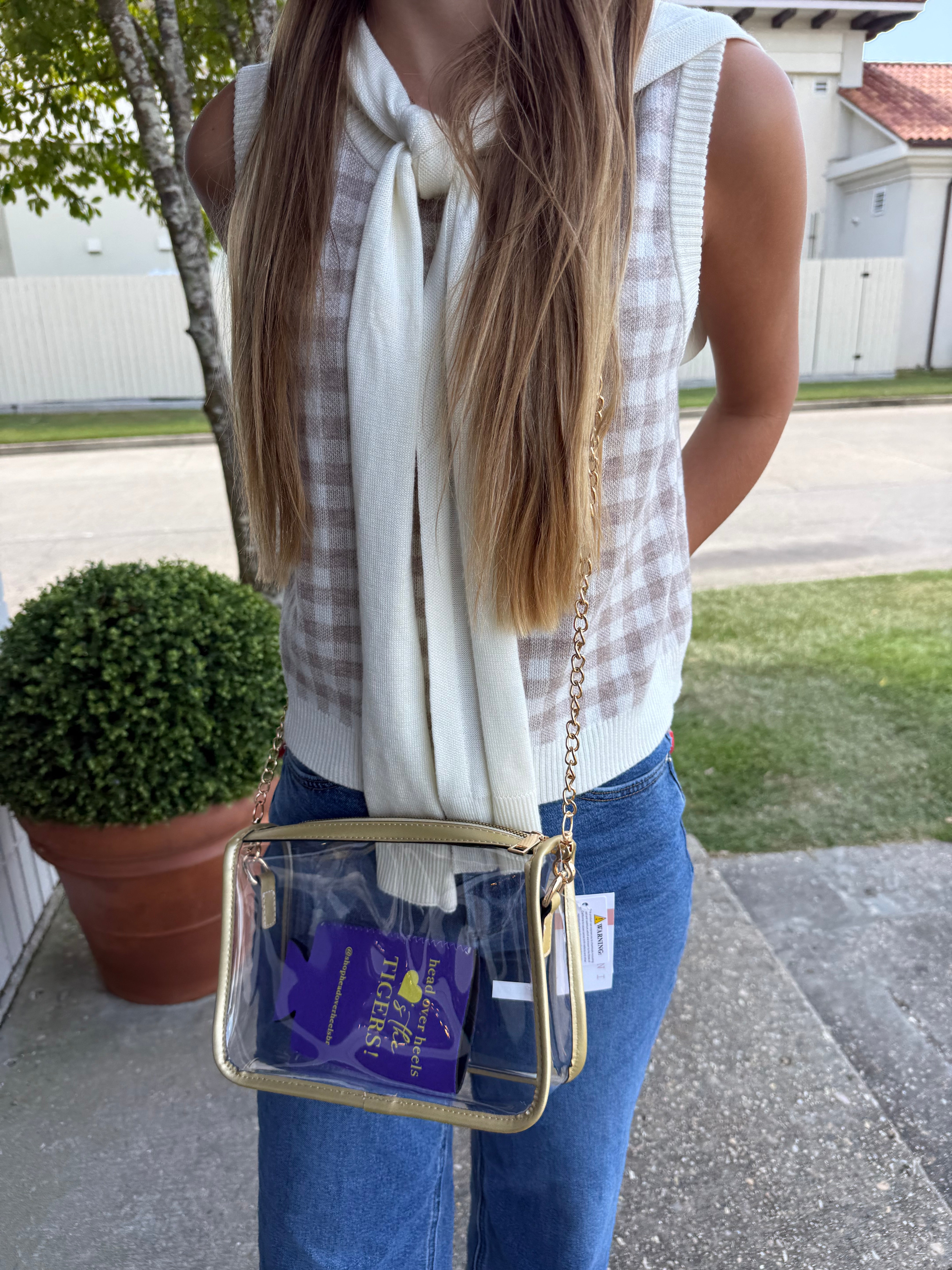 Rectangle Crossbody Bag Gold