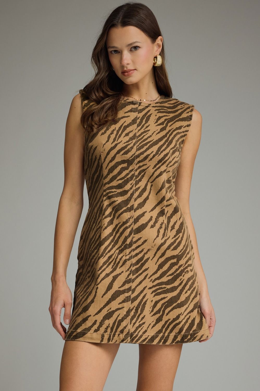 Aubrey Dress Brown
