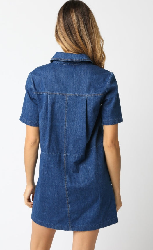 Lydia Denim Dress