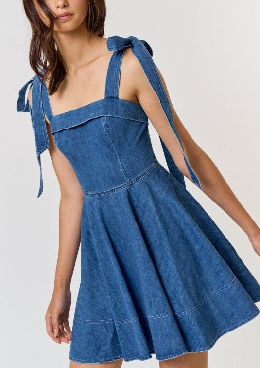 Wells Dress Denim